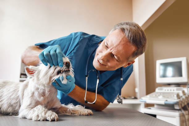 Best Pediatric Emergency Dentist in Wyoming, OH