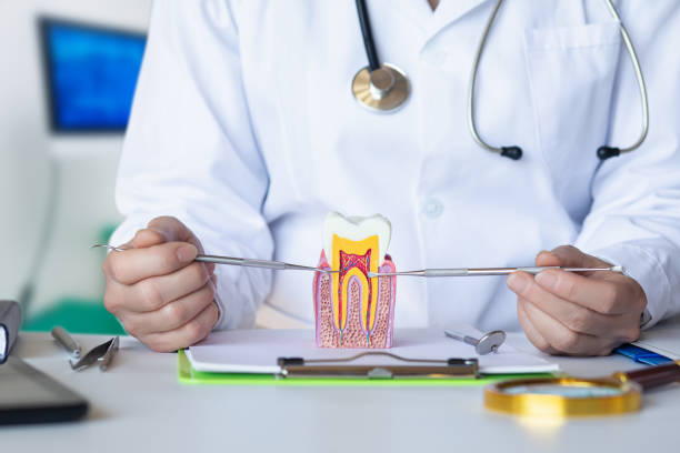 Best Pediatric Emergency Dentist in Wyoming, OH